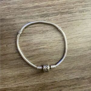 Pandora bracelets (for charms)